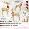 Christmas Lighted Reindeer Family Decor - 3-Piece 2D Design 8 Modes LED String Lights, Rustproof Iron Outdoor Indoor Holiday Decor - 3 of 4