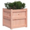 vidaXL Garden Planter 19.7"x19.7"x19.7" Solid Wood Douglas - 4 of 4