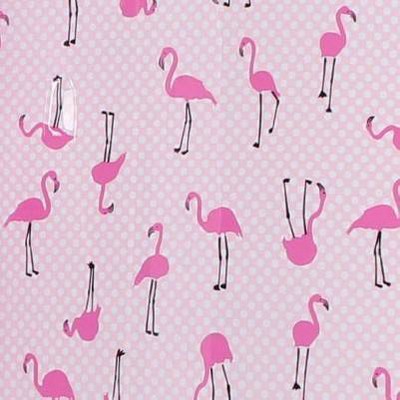 Flamingo Strut