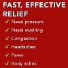 Advil Sinus Congestion and Pain Sinus Relief Medicine 50 Coated Tablets - 2 of 4