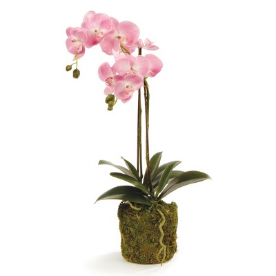Plum & Post Phalaenopsis Orchid Drop-In 23"