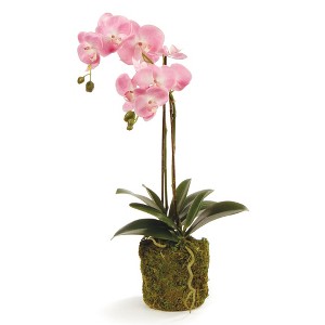 Plum & Post Phalaenopsis Orchid Drop-In 23" - 1 of 2