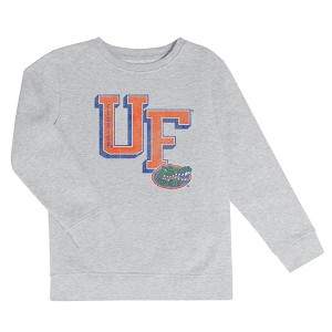 Hanes FLORIDA GATORS カレッジスウェット NCAA Florida Gators Boys' Ash Crew Neck Fleece Sweatshirt - XS