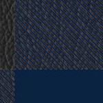 vancouver whitecaps