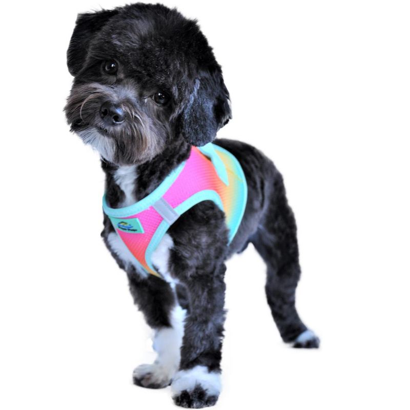 Doggie Design American River Choke Free Dog Harness Ombre Collection-Beach Party, 4 of 5