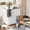 Cat Litter Box Enclosure, Hidden Litter Box Cabinet Furniture with Double-Layer Litter Mats and Scratching Board for 2 Cats - 4 of 4