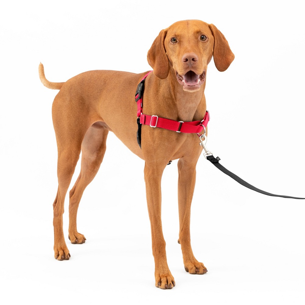 Photos - Collar / Harnesses PetSafe Easy Walk Adjustable Dog Harness - M - Red 