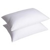 Dr Pillow Dreamzie Adjustable Therapeutic Pillow Cases set of 2 - 2 of 4