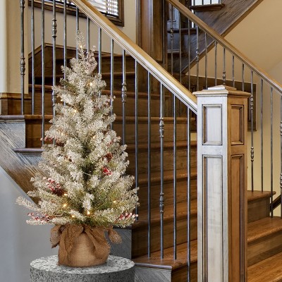 Dunhill Fir 3' Tabletop Christmas Tree with Warm White LED Lights