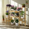 Artloge 6 Tier Bamboo Plant Stand Sturdy Open Design Flower Pots Rack Storage Shelf Unit for Indoor Outdoor Garden Yard Patio Balcony - 2 of 4