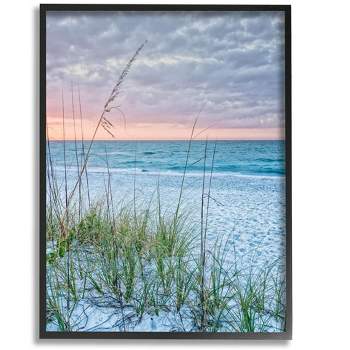 Stupell Industries Coastal Sea Grass Sprigs Beach Shore Framed Giclee Art