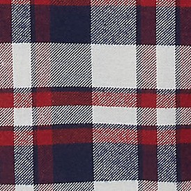 navy/bourbon plaid