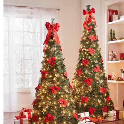 poinsettia