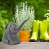 Cornucopia Brands 2QT Elephant Watering Can w Real Googly Eyes; Fully Functional Novelty Watering Can - 2 of 4