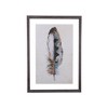 20" x 28.7" (Set of 2) Designs Feathers Framed Wall Art - Storied Home: Modern Canvas Artwork, Sawtooth Back - 4 of 4