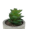 Unique Bargains Artificial Plants Plastic 2.76"x2.76"x3.15" 1Pc - 4 of 4