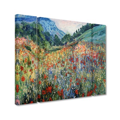 Trademark Fine Art - Masters Fine Art 'Field of Wild Flowers'