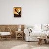 Stupell Industries Trick Or Treat Halloween Witch Framed Giclee Art, Black, 16" x 20" - 3 of 4