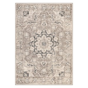 Machine Washable Area Rugs Boho Vintage Distressed Oriental Medallion Neutral Thin Large Rug Stain Resistant Carpet for Living Bedroom - 1 of 4