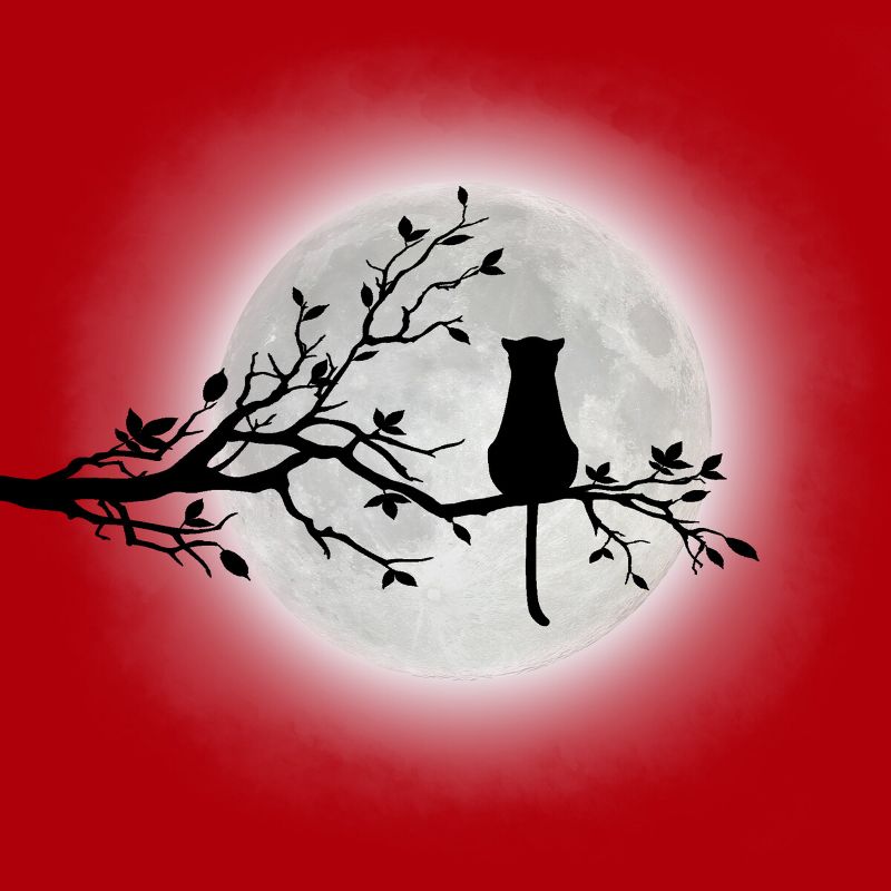 Junior's Design By Humans The Cat and The Moon By Maryedenoa T-Shirt, 2 of 4