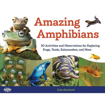 Amazing Amphibians, 6 - (Young Naturalists) by  Lisa J Amstutz (Paperback)