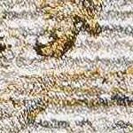 cream, denim, mustard, olive, rust, light gray