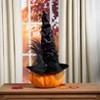 The Lakeside Collection Witch Hat - 3 of 4