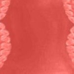 sunset coral