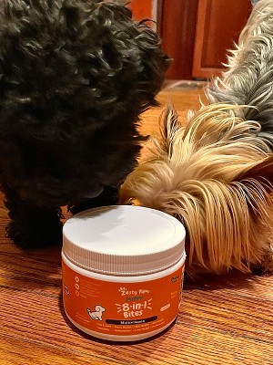 Zesty Paws  8-in-1 Multifunctional Bites for Dogs - Happy Tails Market