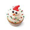 Holiday Snowman Decorating Kit - 2.9oz - Favorite Day™ - 2 of 3