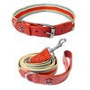Paaaawaters Adjustable Dog Collar and Leash Set for Small Medium Large Dogs (Collar+Leash -Neck 12”-32”) - 2 of 4