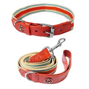 Paaaawaters Adjustable Dog Collar and Leash Set for Small Medium Large Dogs (Collar+Leash -Neck 12”-32”) - 1 of 4