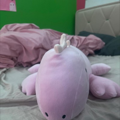 Guest review image 3 of 3, zoom in