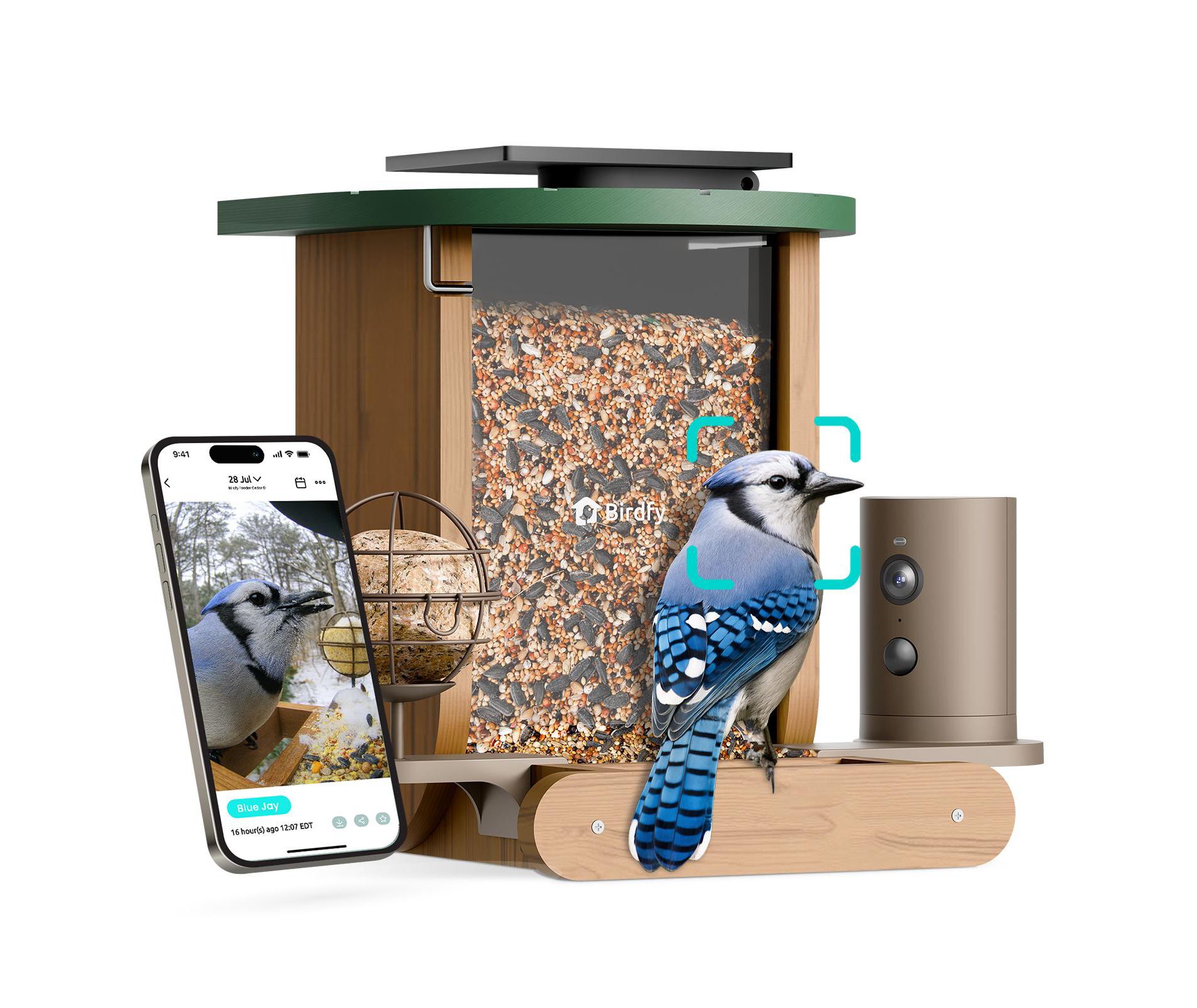 Birdfy Smart Bird Feeder Cedar D, Fun & Educational 1080P Birdwatching, AI Lifetime Free, 60FPS Slow-Motion, Solar-Powered, Ideal Gift for Bird Lovers
