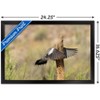Trends International The Comedy Wildlife Photography Awards: Wendy Kaveney - That Wasn't Here Yesterday Framed Wall Poster Prints - 3 of 4