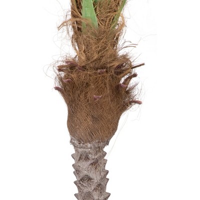7.25' Green and Brown Potted Artificial Phoenix Palm Tree