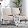 MAYEERTY 46 Inch Modern Loveseat Powder-Coated Metal Frame, Detachable Cushions, Anti-Scratch Legs - 3 of 4