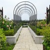 Metal Garden Arch L42.24'' x W17.52'' x H85.82'' Climbing Plants Support Rose Arch Outdoor Black - 3 of 4