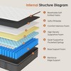 CSBDHOME Premium Hybrid Mattress with Pocket Springs – Twin, Full, Queen, King Sizes – Medium Firm, Pressure Relief & Motion Isolation - 4 of 4