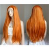 Unique Bargains Women Long Straight Synthetic Fibre Hair Lace Front Wigs with Wig Cap 24" 1PC - 3 of 4