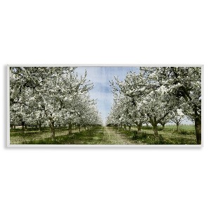 Stupell Industries Blooming White Tree Orchard, 30" x 13" - 1 of 4