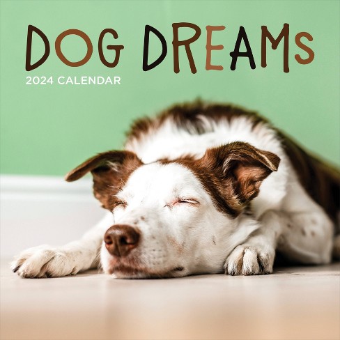 Tf Publishing 2024 Wall Calendar 12"x12" Dog Dreams : Target