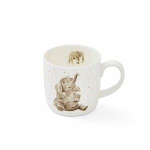 Royal Worcester Wrendale Designs 11 Ounce Bone China Mug, Zoo Role ...