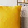 PAVILIA Set of 2 Throw Pillow Covers, Decorative Velvet Square Cushion Cases for Bed Sofa Couch Bedroom Living Room - 3 of 4