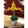 Nearly Natural Triple Phalaenopsis Silk Orchid Flower Arrangement, Yellow - 4 of 4