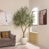 DR.Planzen 7ft Artificial Olive Tree with Oversized 15/18-inch White Planter, Large Faux Olive Tree for Indoor/Outdoor Office Home D¨¦cor - 3 of 4