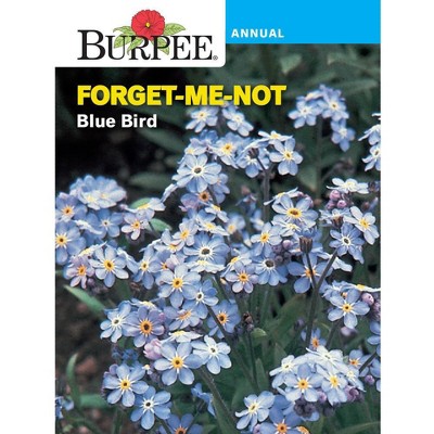 Burpee - Brandclub - Burpee Favorite Annual and Perennial Flower Seed  Collection - 13pk