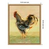 Amanti Art Sunlit Rooster II by Ethan Harper Canvas Wall Art Print Framed 16 x 20-in. - 4 of 4