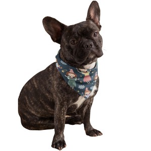 Mechaly Cotton Funny Dog Bandana with Designs Durable Birthday Pet Scarf - 1 of 4