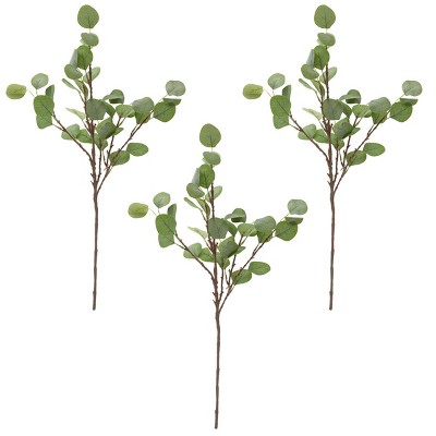 Farmlyn Creek 3 Pack Artificial Faux Eucalyptus Stems with Silver Dollar Leaves for Garlands (25 in)
